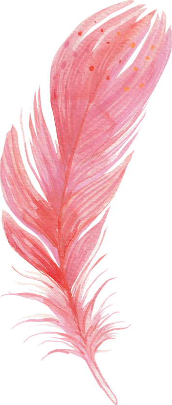 Watercolour Feather