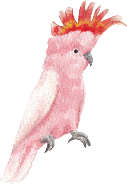 Watercolor Parrot Bird